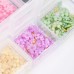 Molly Nails Acrylic Flower Decorations Цветя в различни цветове 300 броя